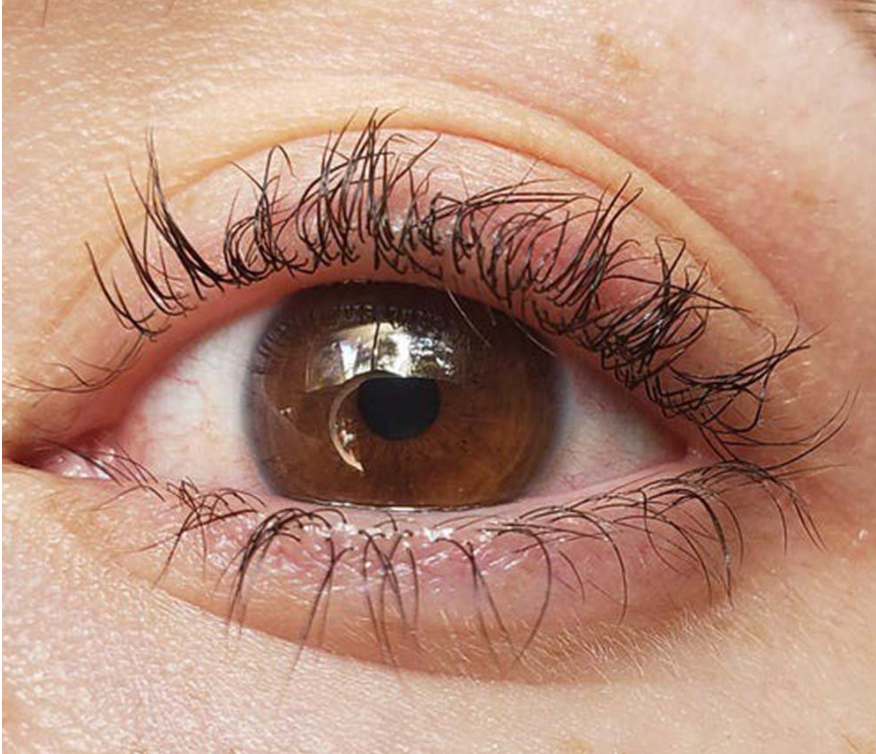 Why your lash lift didn't work