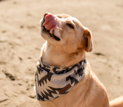 Modest Maverick Handmade Dog Bandana | Isla