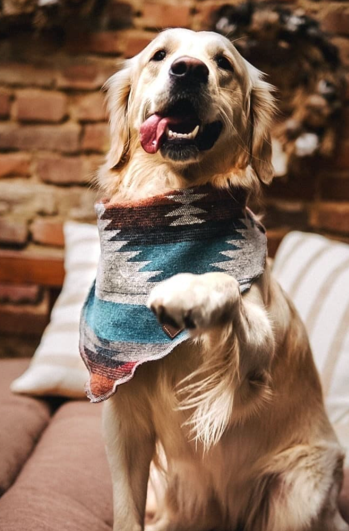 Modest Maverick Handmade Dog Bandana | The Traveller